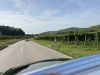 Filename=Foxi_007.jpg
Filesize=814KB
Dimensions=1280x960
Date added=Oct 17, 2021 Foxi_007.jpg