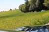 Filename=Tanja (6).JPG
Filesize=995KB
Dimensions=1280x853
Date added=May 10, 2016 Tanja (6).JPG