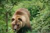 Filename=DSC07074.JPG
Filesize=194KB
Dimensions=1000x664
Date added=May 25, 2014 DSC07074.JPG