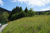 Filename=DSC07120.JPG
Filesize=199KB
Dimensions=1000x664
Date added=May 25, 2014 DSC07120.JPG